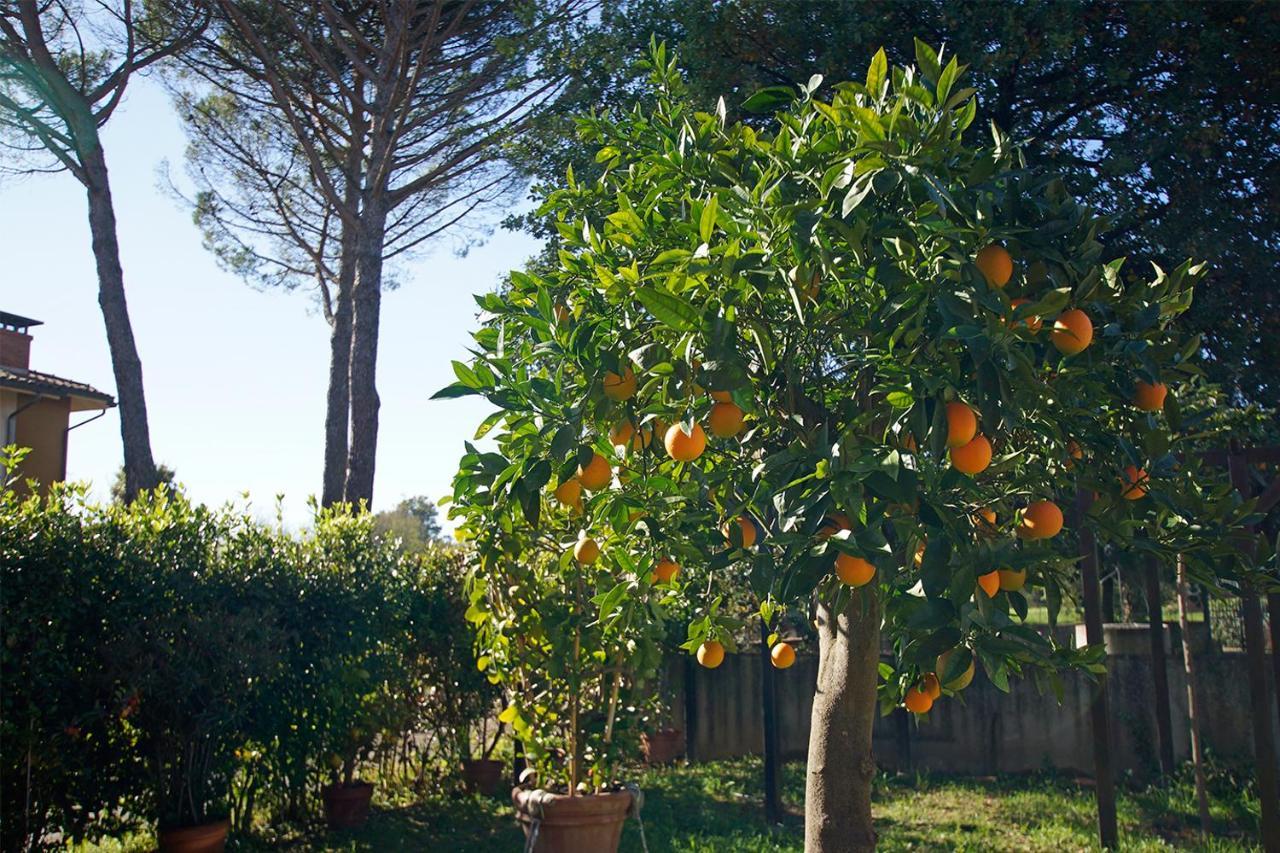 Bed & Breakfast Bel Giorgio Orentano Bagian luar foto